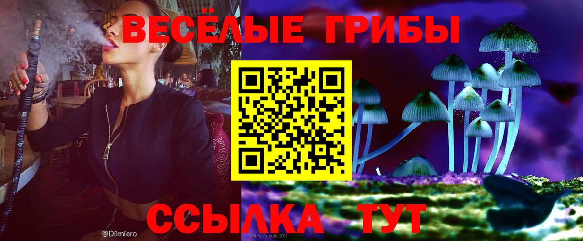 Щёлково  Галлюциногенные грибы мицелий  Вход с VPN  Галлюциногенные грибы GOLDEN TEACHER 